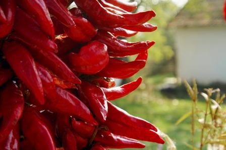  Különleges Kalocsai Őrölt Paprika