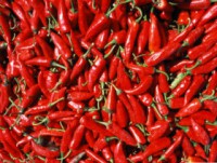 /album/kepgaleria/a7671-jpg/