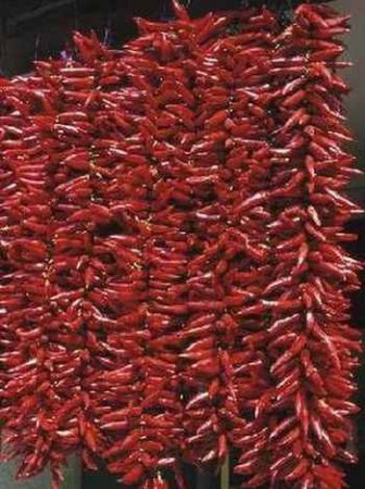 "Fűszerpaprika -fűzés,érlelés"